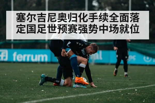 塞尔吉尼奥归化手续全面落定国足世预赛强势中场就位